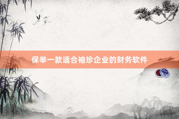 保举一款适合袖珍企业的财务软件
