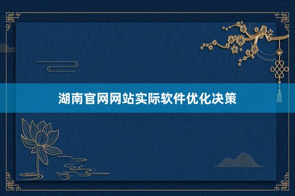 湖南官网网站实际软件优化决策