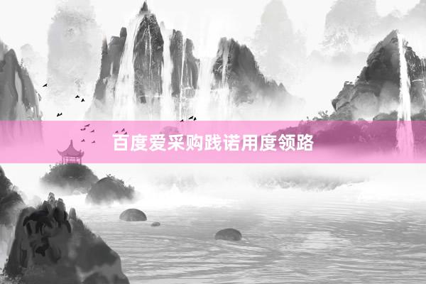 百度爱采购践诺用度领路