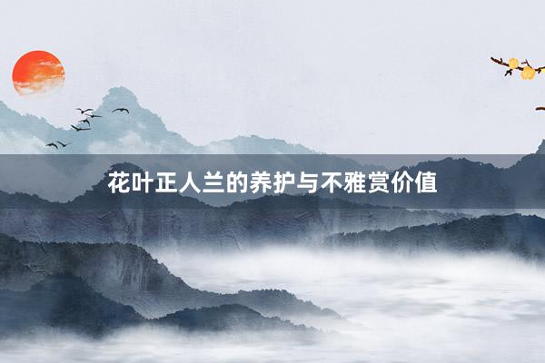 花叶正人兰的养护与不雅赏价值