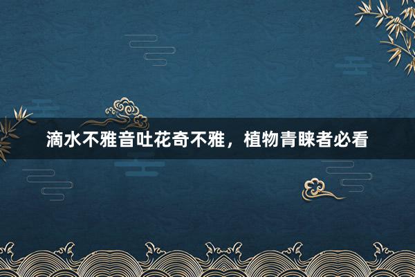滴水不雅音吐花奇不雅,植物青睐者必看